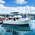 No Name 1 Yacht Private Yacht Charter | Keppel Bay